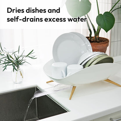 Premium Self-Draining Dish Drainer | Minimalist Anti-Rust Rack 🍽️
